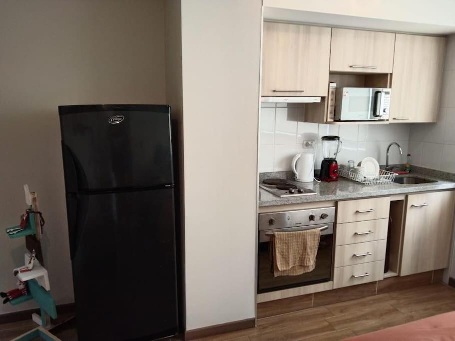 Departamento Nuevo Tipo Estudio En Pleno Centro -8 Leilighet Concepción Eksteriør bilde