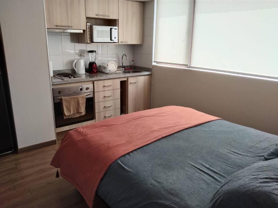 Departamento Nuevo Tipo Estudio En Pleno Centro -8 Leilighet Concepción Eksteriør bilde