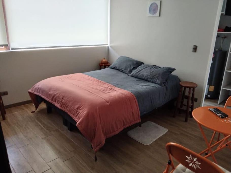 Departamento Nuevo Tipo Estudio En Pleno Centro -8 Leilighet Concepción Eksteriør bilde