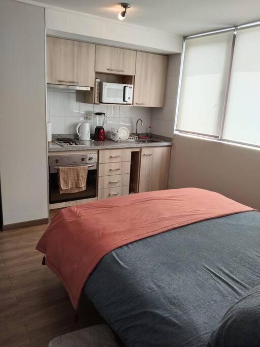 Departamento Nuevo Tipo Estudio En Pleno Centro -8 Leilighet Concepción Eksteriør bilde