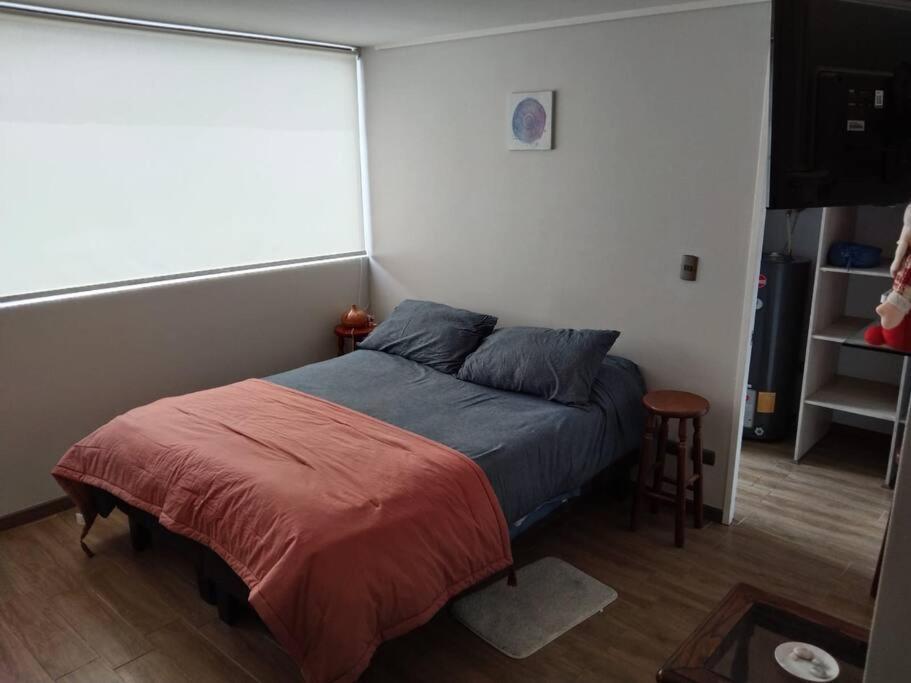 Departamento Nuevo Tipo Estudio En Pleno Centro -8 Leilighet Concepción Eksteriør bilde
