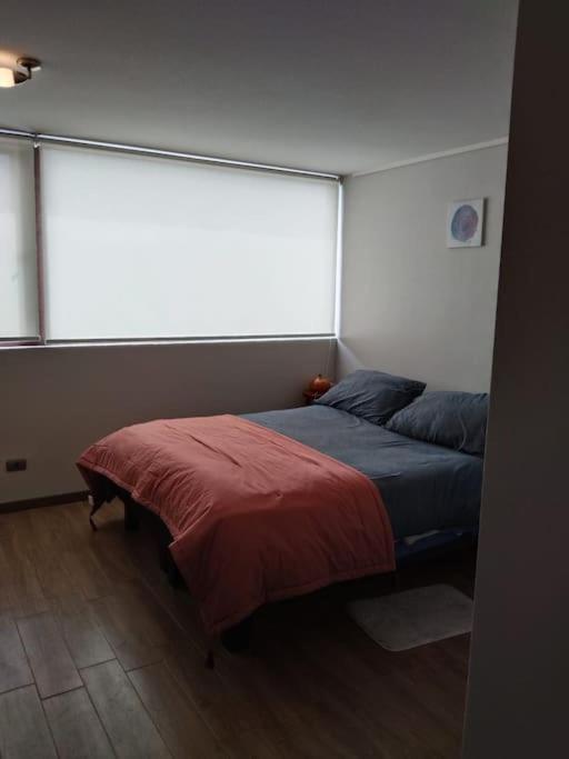 Departamento Nuevo Tipo Estudio En Pleno Centro -8 Leilighet Concepción Eksteriør bilde