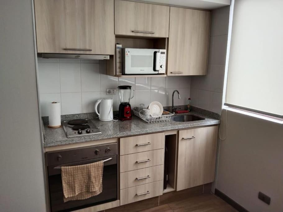 Departamento Nuevo Tipo Estudio En Pleno Centro -8 Leilighet Concepción Eksteriør bilde