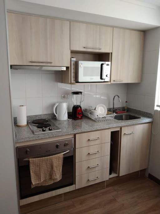 Departamento Nuevo Tipo Estudio En Pleno Centro -8 Leilighet Concepción Eksteriør bilde