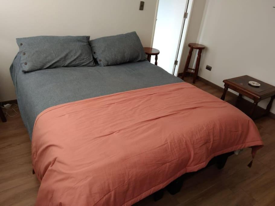 Departamento Nuevo Tipo Estudio En Pleno Centro -8 Leilighet Concepción Eksteriør bilde