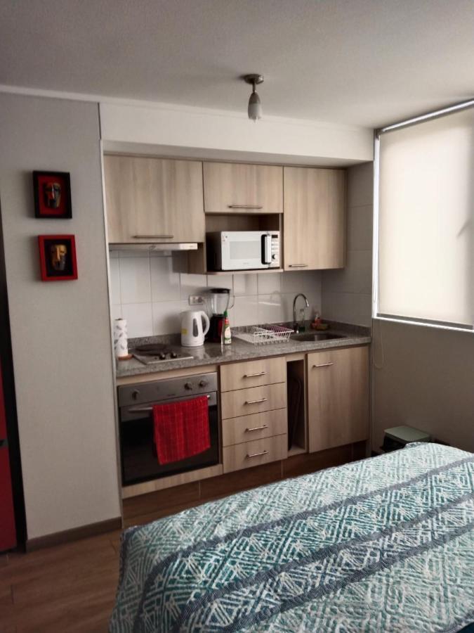 Departamento Nuevo Tipo Estudio En Pleno Centro -8 Leilighet Concepción Eksteriør bilde