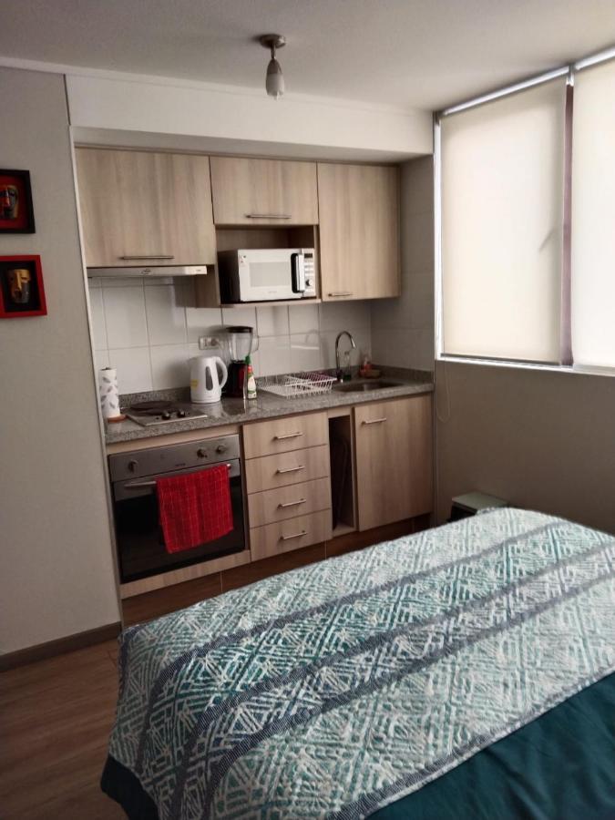 Departamento Nuevo Tipo Estudio En Pleno Centro -8 Leilighet Concepción Eksteriør bilde